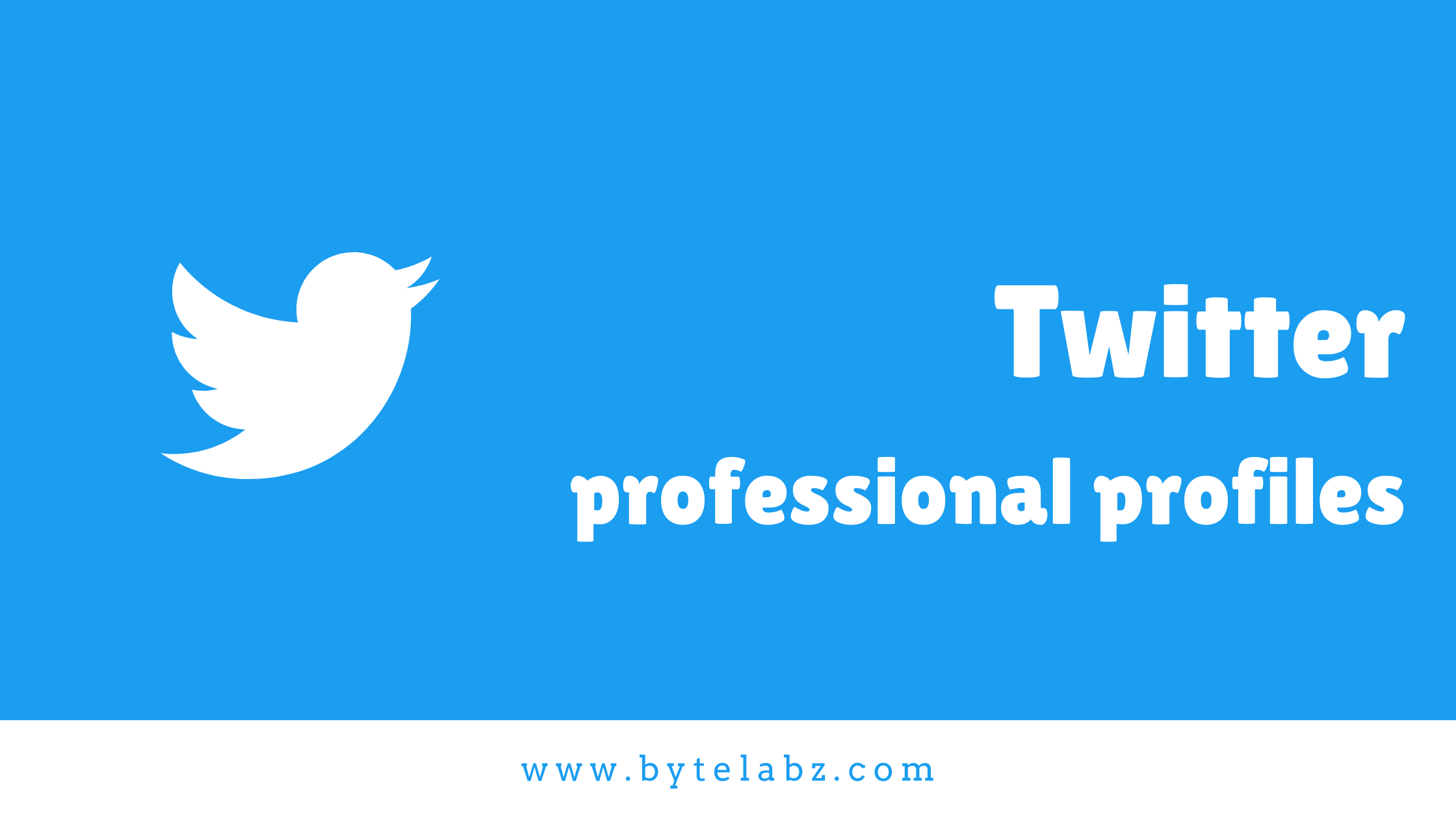 Twitter professional profiles